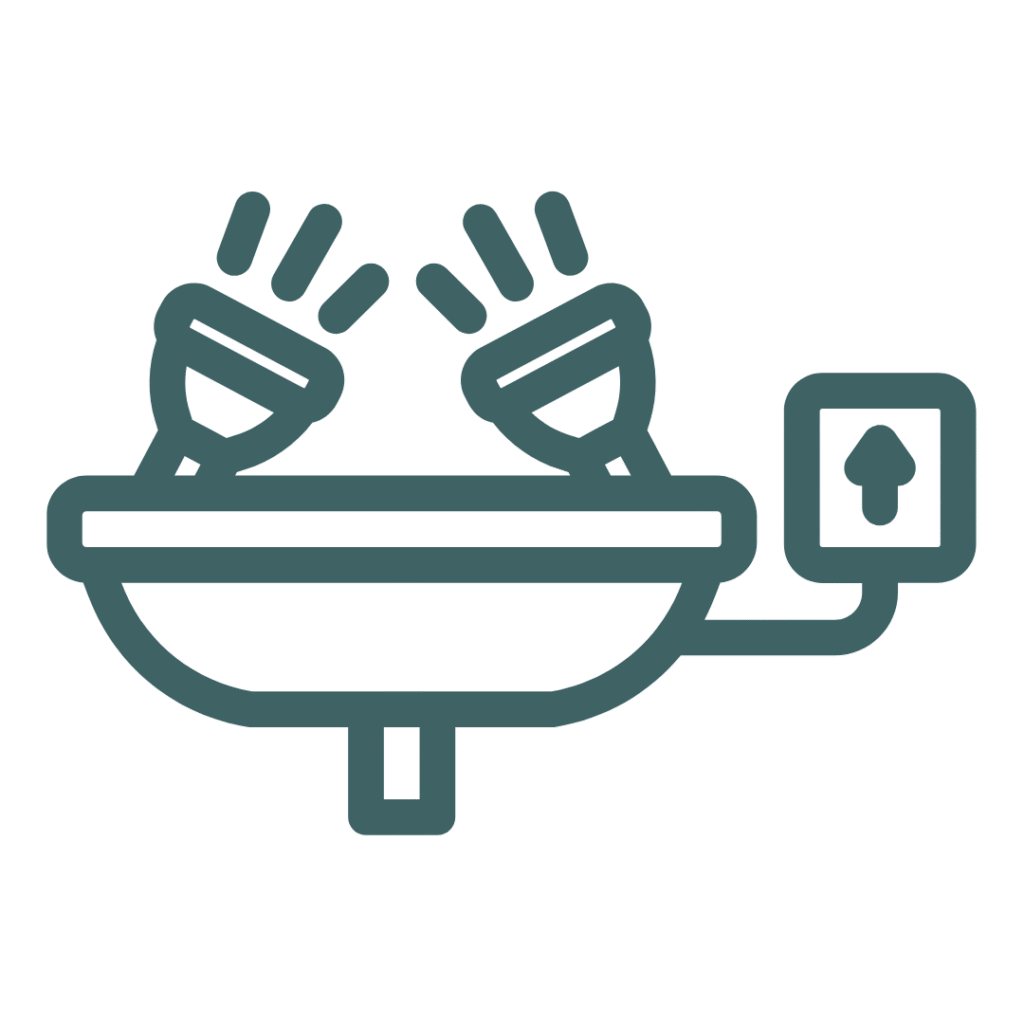 Eye Emergencies​ icon